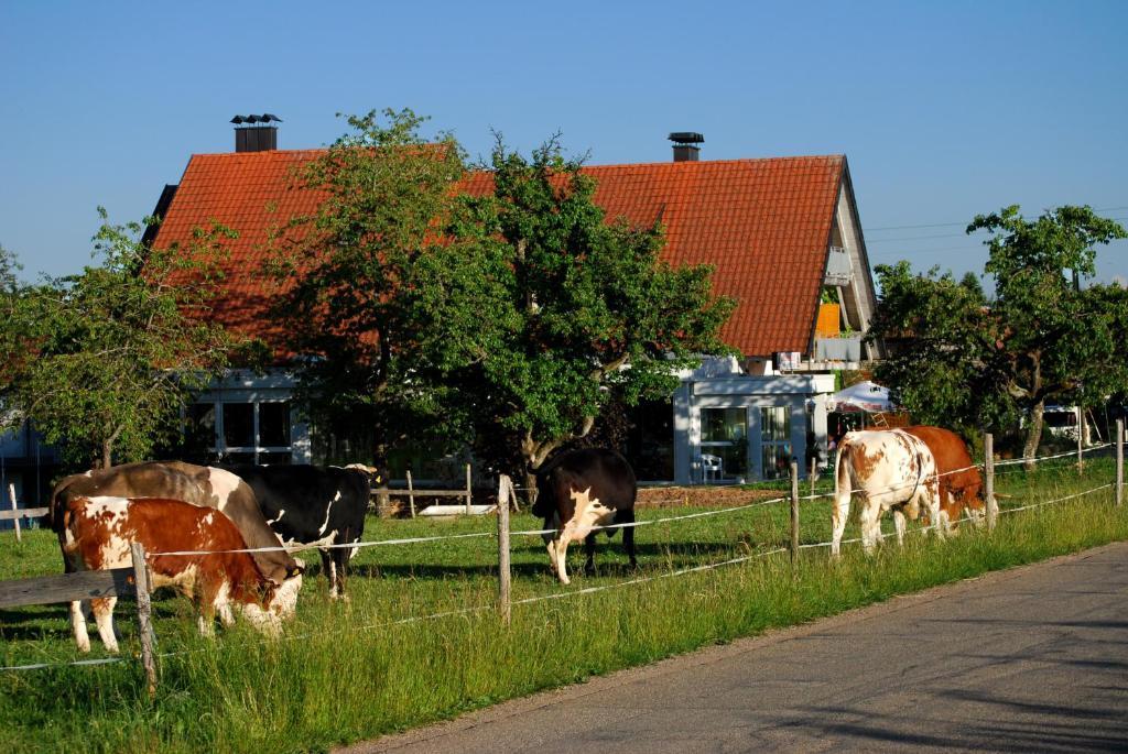 Wellnesshotel Schiesselhof Grafenhausen Værelse billede