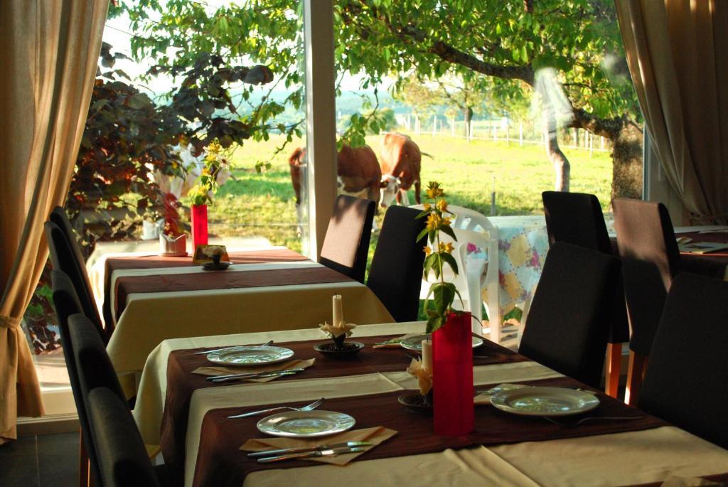Wellnesshotel Schiesselhof Grafenhausen Værelse billede